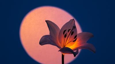 Dolunay bug�n saat ka�ta, T�rkiye'den g�r�lecek mi? Dolunay'�n bur�lara etkileri neler?