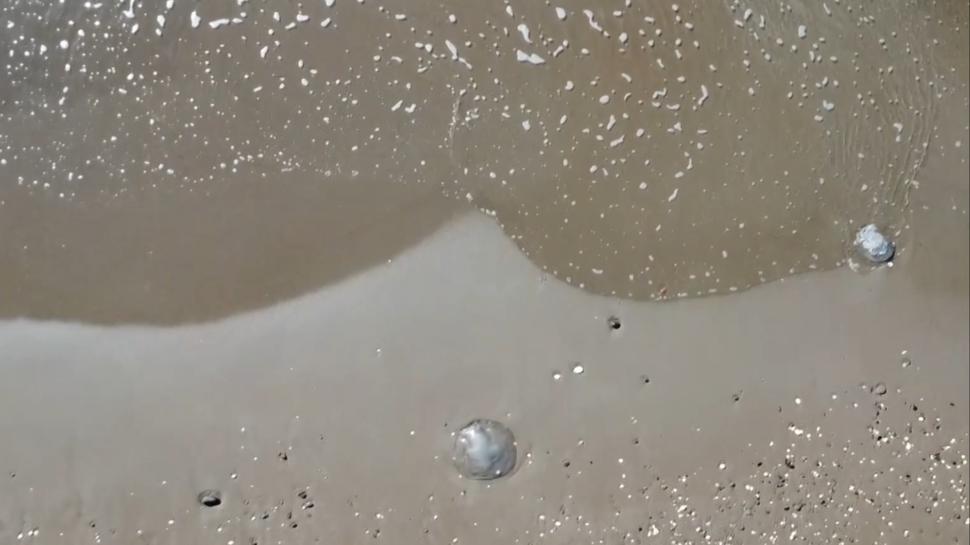 Uzman isimden denizanası uyarısı: Bu tablo birleşik bir etki