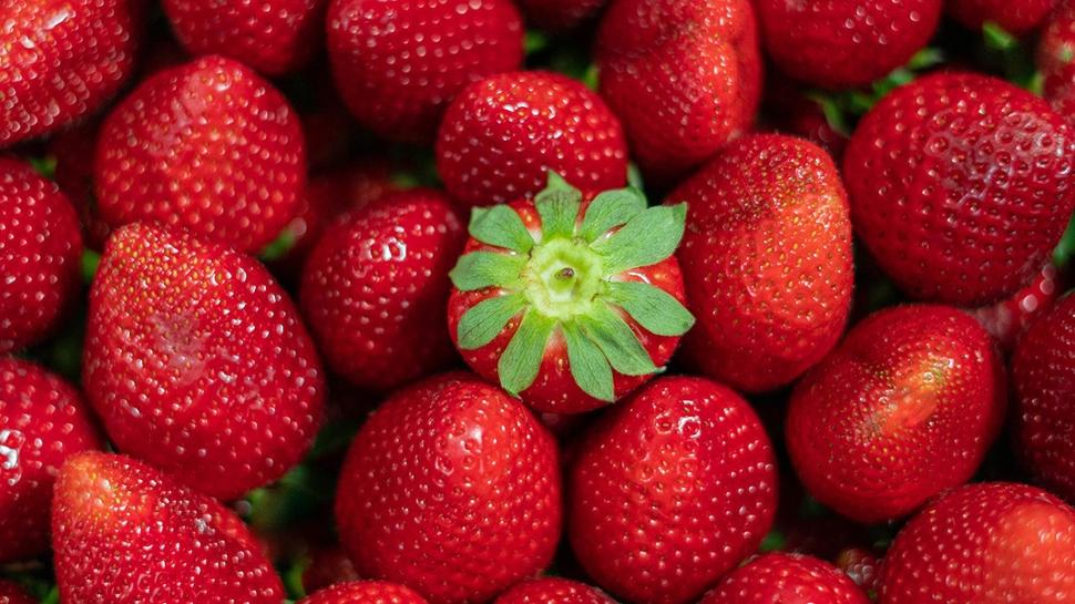 �ilekleri b�yle saklay�n! ��r�mesini �nl�yor