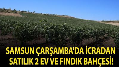 Samsun �ar�amba'da icradan sat�l�k 2 ev ve f�nd�k bah�esi!