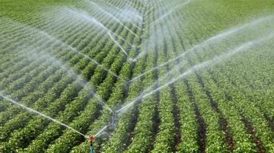 Sulama sistemlerine y�nelik destek art�rt�ld�: Rakam 10 milyon liray� a�t�