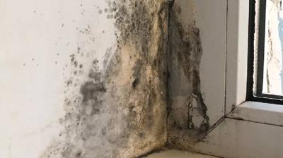 Rutubet ve küf mü var? İşte çözümü...