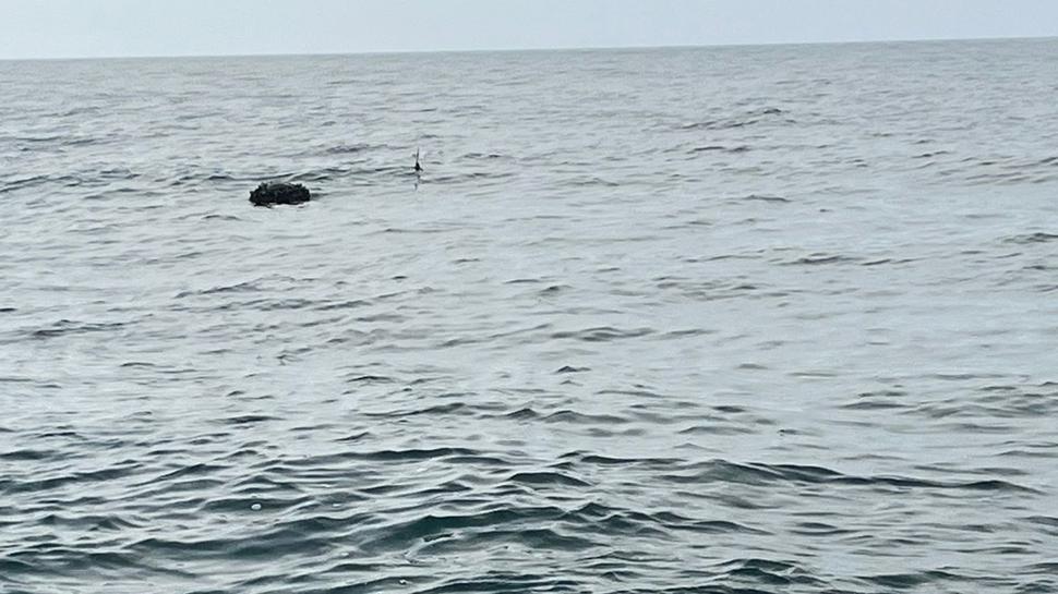 MSB: İğneada açıklarında mayın imha edildi