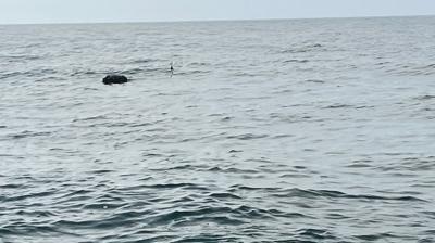 MSB: ��neada a��klar�nda may�n imha edildi