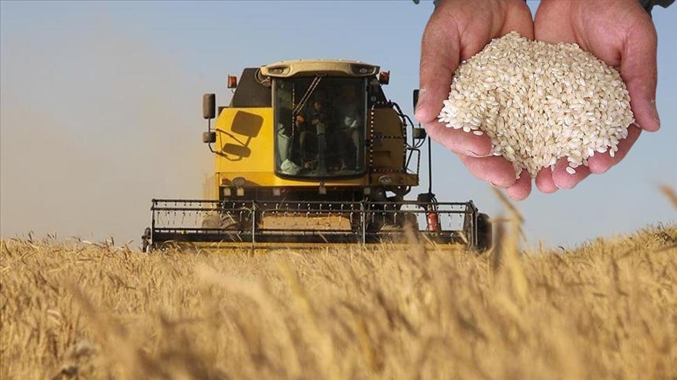 Sosyal medyadaki 'ithal pirin�' yalan� ��kt�! TMO, manip�lasyonu ��r�tt�