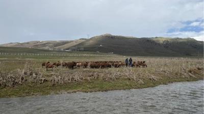 120 bin TL maa�la �al��acak kimse yok! Patnos yaylalar� bo� kald�