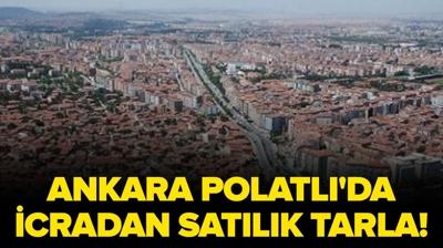 Ankara Polatl�'da icradan sat�l�k tarla!