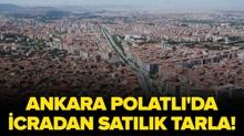 Ankara Polatl�'da icradan sat�l�k tarla!