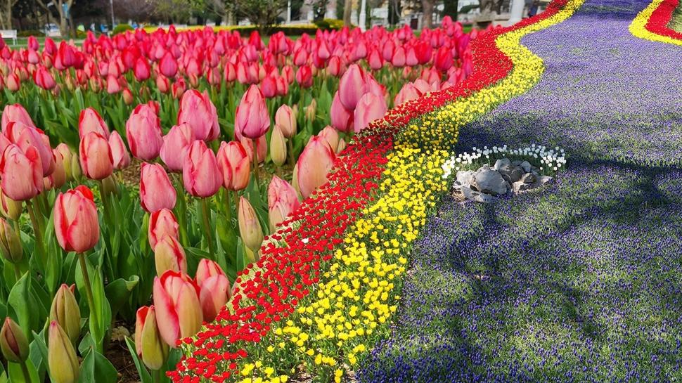 Nisan'da giden dönmek istemiyor: Türkiye'nin 'Küçük Hollanda'sı meğer burasıymış