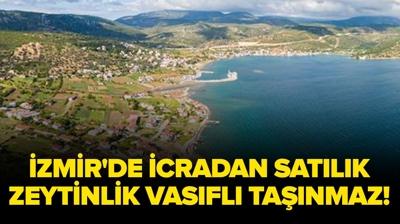 �zmir Urla'da icradan sat�l�k m�stakil zeytinlik vas�fl� ta��nmaz!