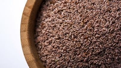 Zay�flama i�nelerine rakip ot! Karn� ve beli inceltiyor