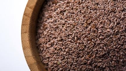 Zay�flama i�nelerine rakip ot! Karn� ve beli inceltiyor