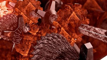 Zor ki�ilik testi: Bu resimde hangi hayvan var?