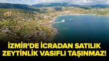 �zmir Urla'da icradan sat�l�k m�stakil zeytinlik vas�fl� ta��nmaz!