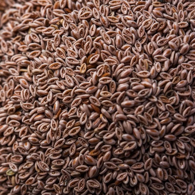 Zay�flama i�nelerine rakip ot! Karn� ve beli inceltiyor