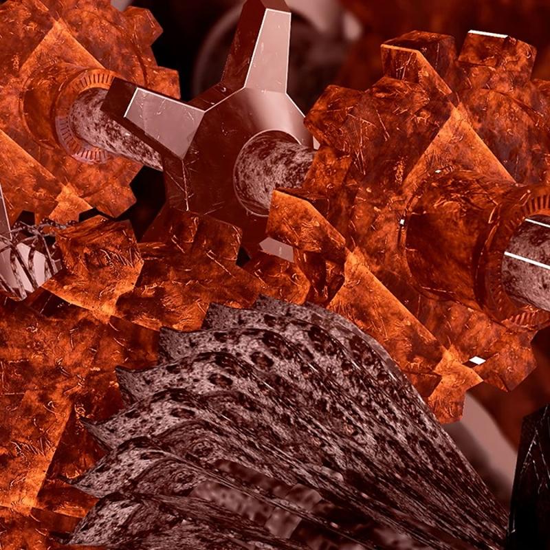 Zor ki�ilik testi: Bu resimde hangi hayvan var?