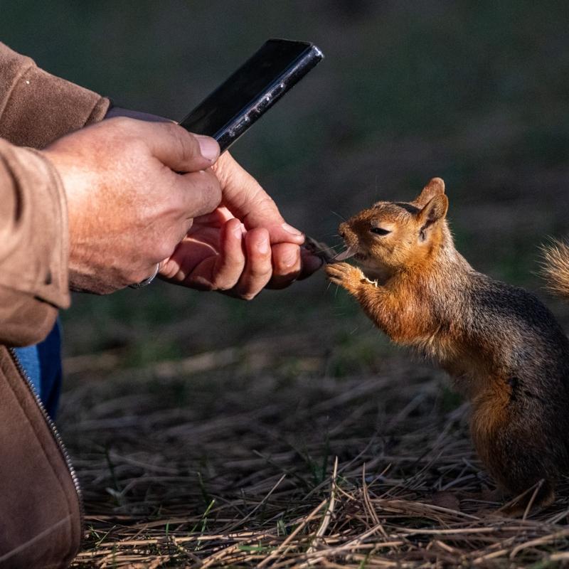 �e�itli hayvanlara ev sahipli�i yap�yor: Bu park 67 bin metrekarelik alan� kapl�yor!