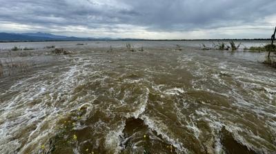 Menderes'in suları buğdayı vurdu! 65 bin dönüm tarım arazisini su bastı