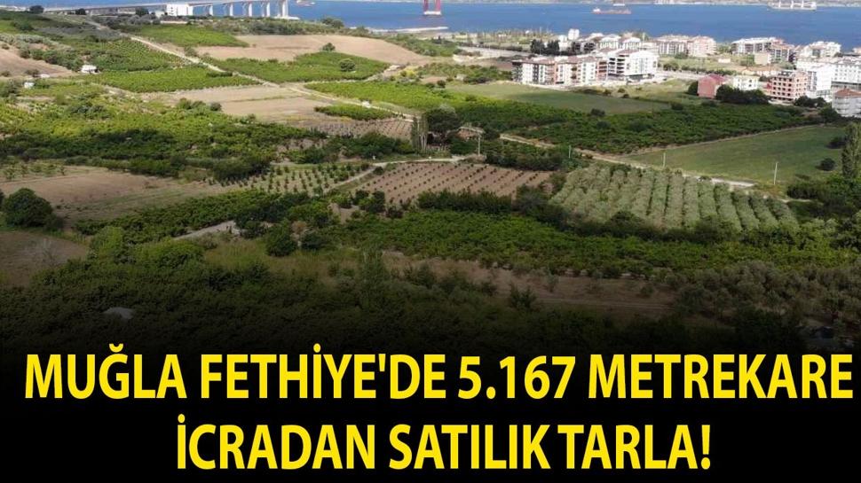 Muğla Fethiye'de 5.167 metrekare icradan satılık tarla!