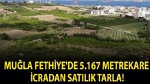 Mu�la Fethiye'de 5.167 metrekare icradan sat�l�k tarla!