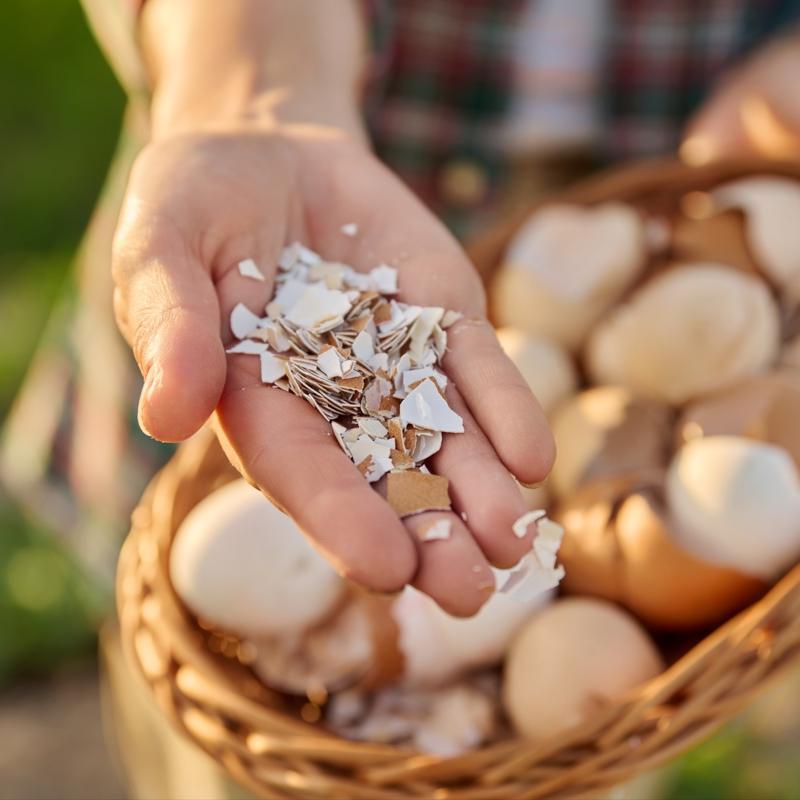 Kemik sa�l���n�n yap�ta�� bu kabuklar: ��pe gitmesin t�ketin