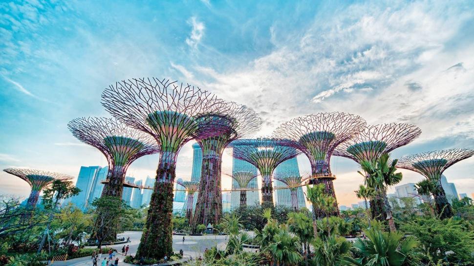 K�rfez markalar� durdu, THY u�tu