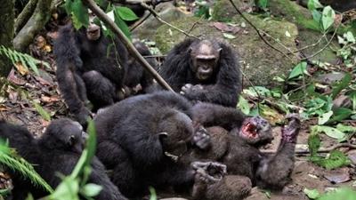 �empanzelerde ilk i� sava�! �l� say�s� a��kland�