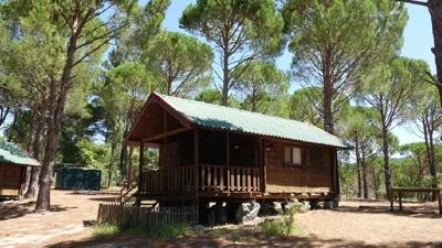 210 milyonluk vurgun! Bungalov çetesi çökertildi