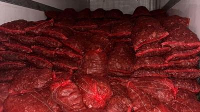 İhbar ekipleri alarma geçirdi: 10 ton kaçak midye ele geçirildi