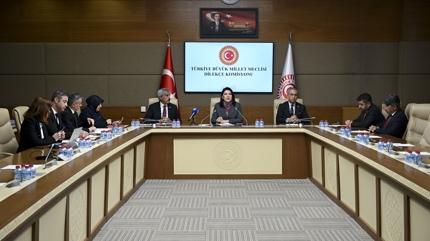 Minik eller Meclis'e ses oldu: 3 bin dilek�e g�nderildi