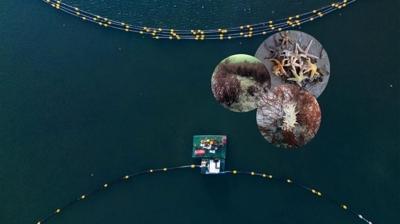 D�nya bu projeyi konu�uyor! �zmit'te 