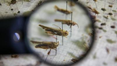 İstanbul Valiliği harekete geçti! Kurumlara zararlı haşerelere karşı tedbirli olun yazısı