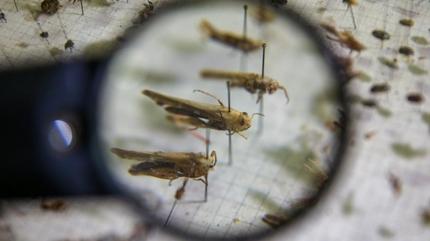 �stanbul Valili�i harekete ge�ti! Kurumlara zararl� ha�erelere kar�� tedbirli olun yaz�s�