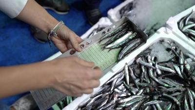 207 bin 371 bal�k��l�k denetimi yap�ld�