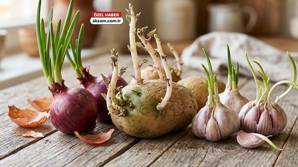 Ye�eren ve filizlenen patates, so�an ve sar�msak yenir mi? Bir uzmana sorduk