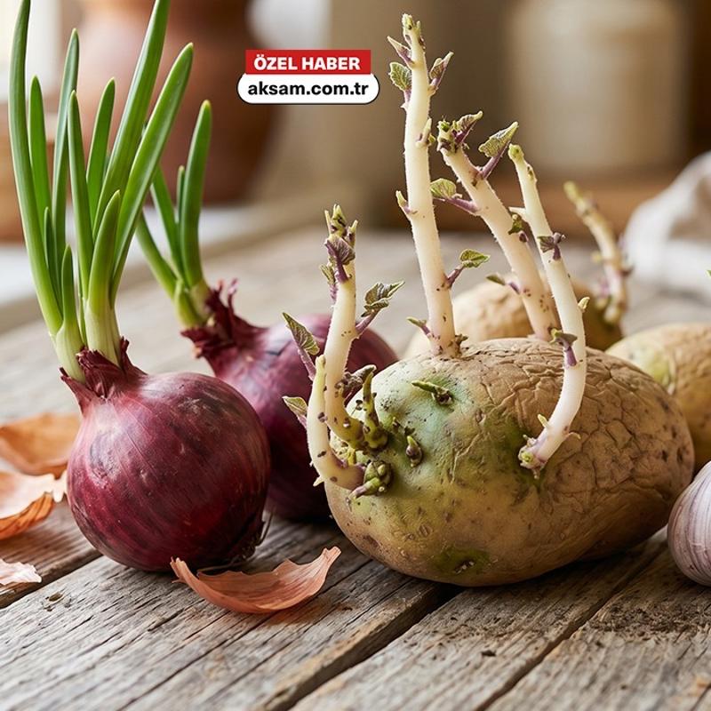 Ye�eren ve filizlenen patates, so�an ve sar�msak yenir mi? Bir uzmana sorduk
