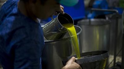 T�rkiye zeytinya�� krallar�n� taht�ndan etti! Son rakamlar dikkatlerini �ekti