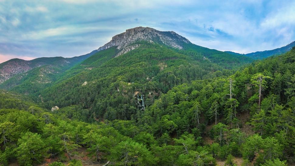 Hafta sonu rotası: Ankara Sarıçalı Dağı Milli Parkı'nda hem piknik yapın hem yürüyüş!
