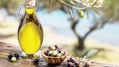 Zeytinya��nda T�rkiye k�resel g�� oluyor