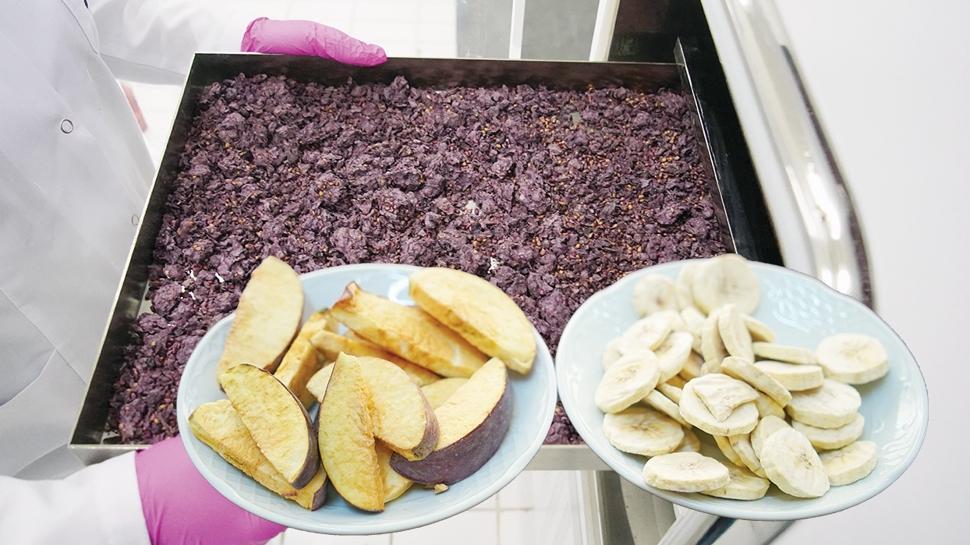 Dondurarak d�nyaya ihra� ediyorlar! Meyve ve sebze -40 derecede �oklan�yor