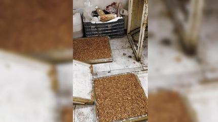 K�t� koku ger�e�i ortaya ��kard�: Evden ka�ak imalathane ��kt�