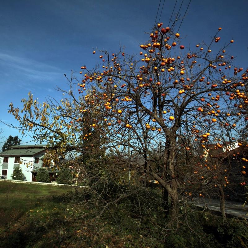 Do�an�n kalbine ka���: Ma�ukiye gezi rehberi! Mutlaka g�rmeniz gereken 5 yer