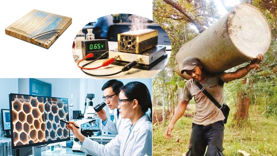 G�ne�ten elektrik �reten odun!