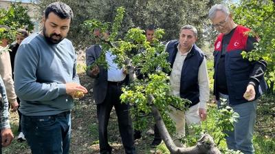 Erkencileri dolu vurdu! Hasar tespit �al��malar�na ba�land�