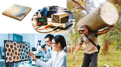 G�ne�ten elektrik �reten odun!