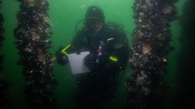 Marmara Denizi'nde umut veren ke�if! Bilim insanlar� �a�k�na d�nd�