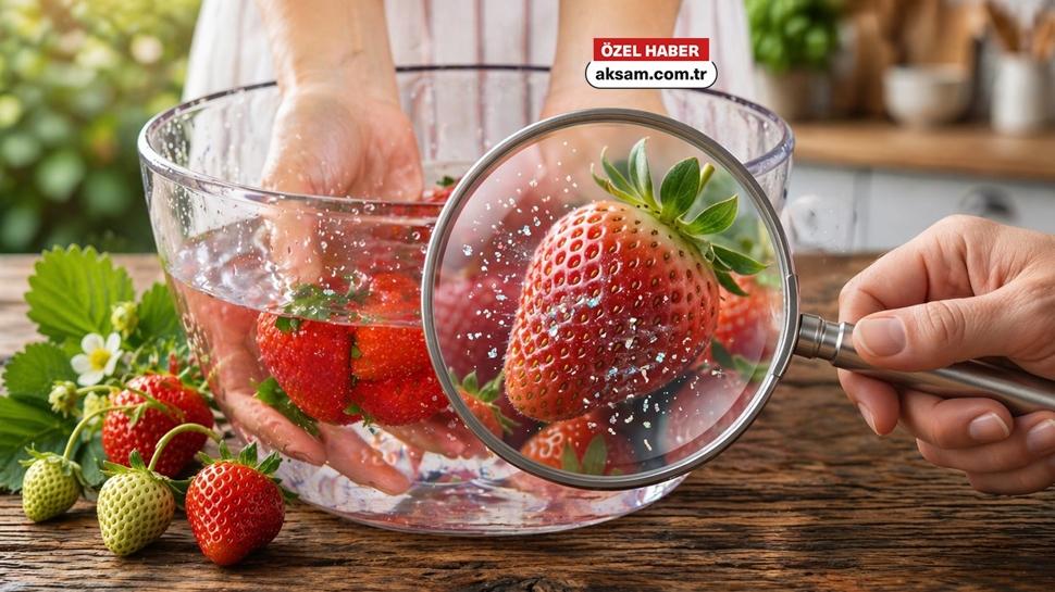 Çilek karbonatla mı, sirkeyle mi yıkanmalı? Uzmanı pestisitlerden kurtulma yöntemini açıkladı