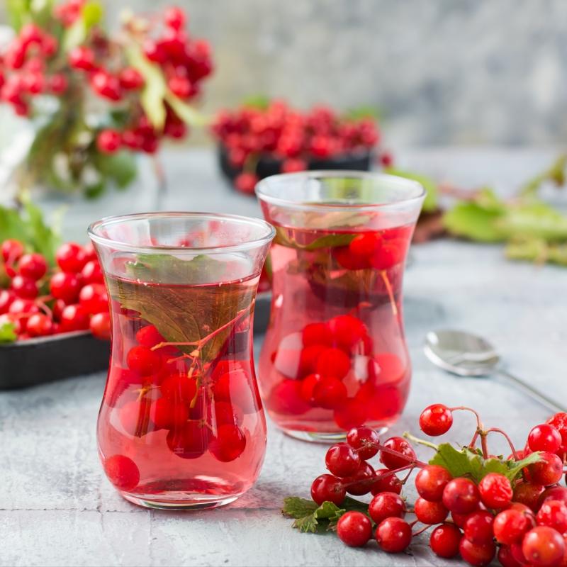 �erbeti kan yap�yor, meyvesi gribe ila�: Kilo kilo al�n