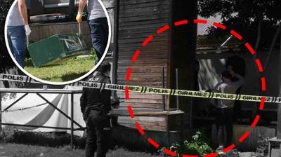 Reklam panosundan deh�et ��kt�: K�t� kokuyu hayvan �l�s� sand�k