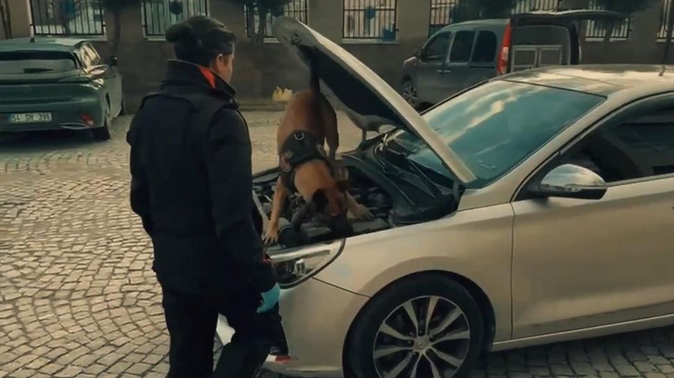 Emniyetten 9 ilde dev operasyon: 478 şüpheli cezaevine gönderildi